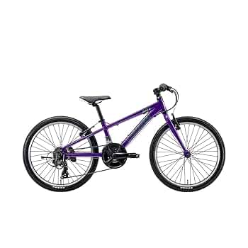 [引取限定] ルイガノ J22L （22インチ）6段変速 子供用　自転車 ルイガノ 「ルイガノ」J22 plus（J22 プラス）BAA-O 22インチ 6